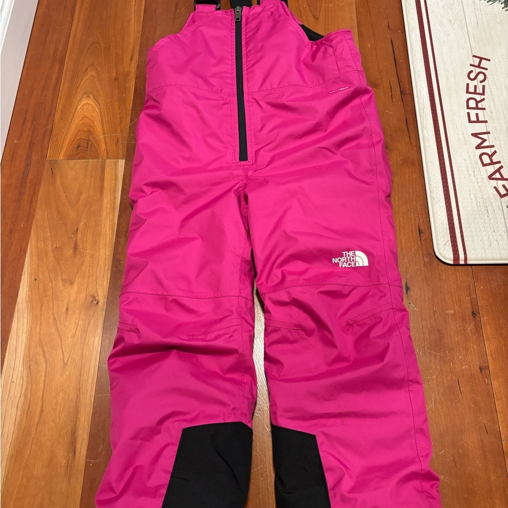 The North Face Fuchsia and Black Snow Bib